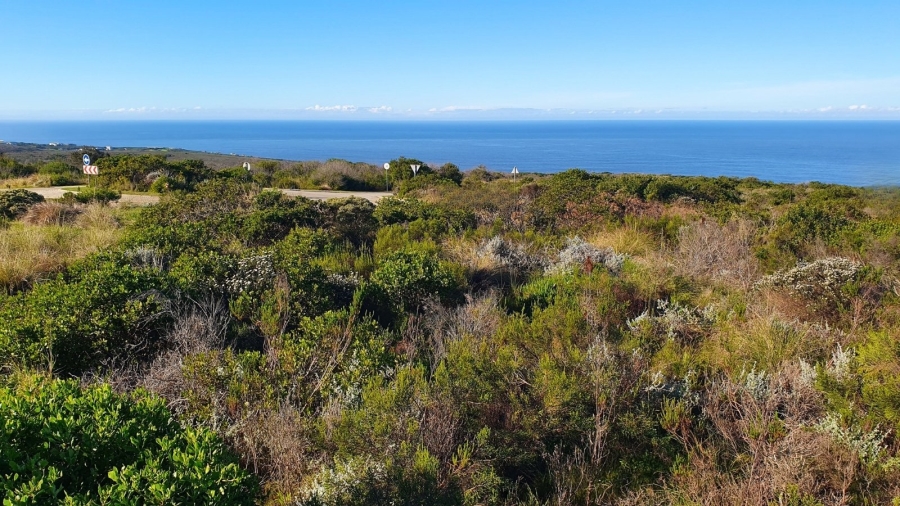 Commercial Property for Sale in Paradise Coast Western Cape